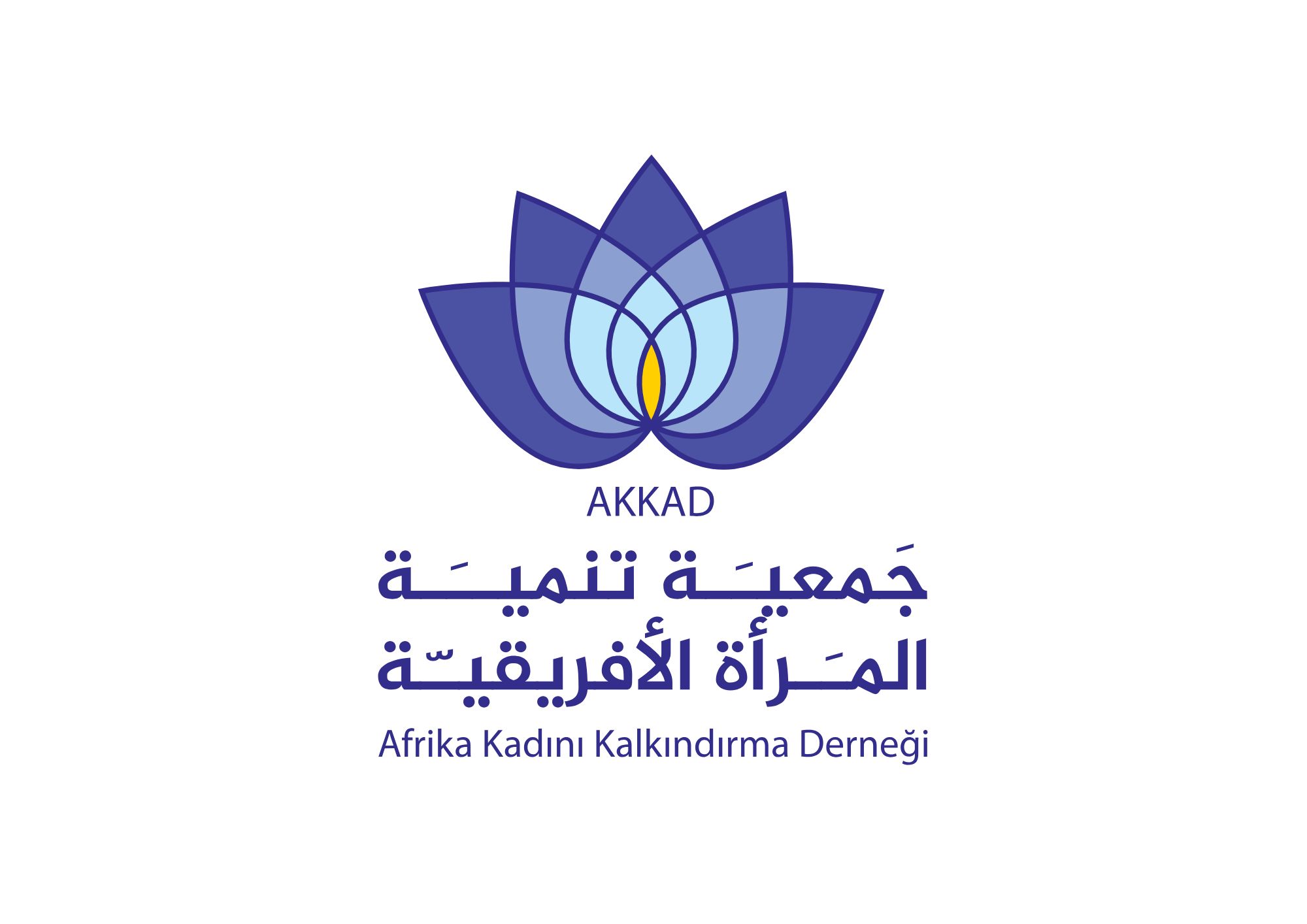 جمعيه تنميه المرأه الأفريقيه